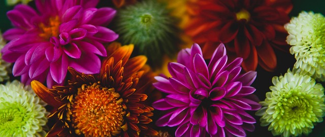 见证未来N 见证未来N