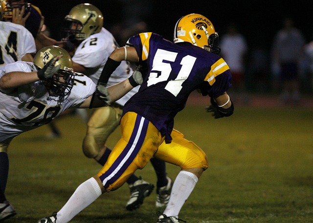 塞尔维亚巨 塞尔维亚巨