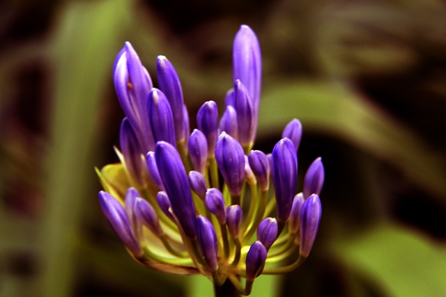 则象征着与 则象征着与