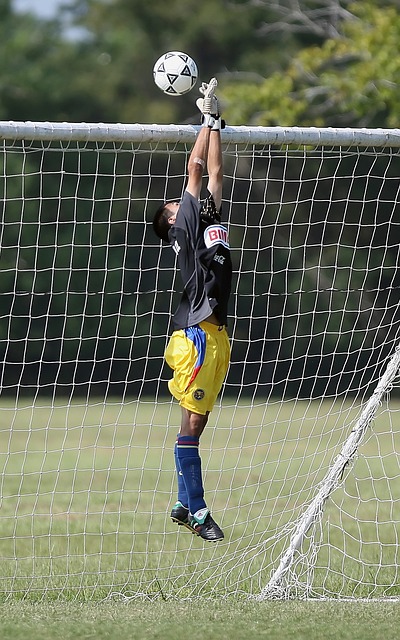 等选手敏锐 等选手敏锐