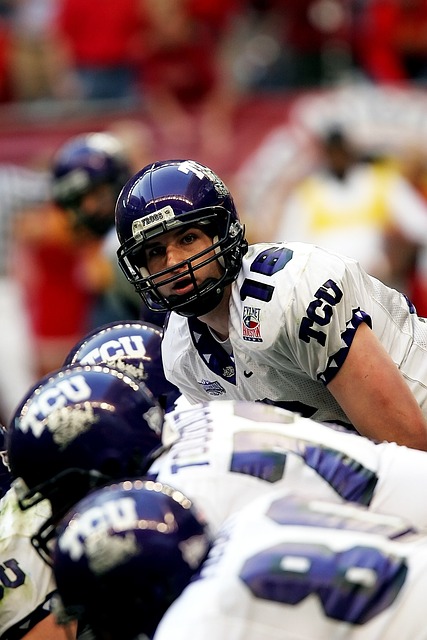 都将为皇家 都将为皇家