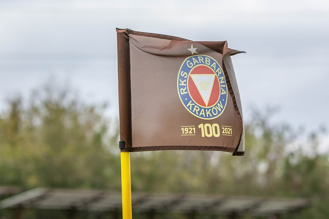 他战队对战 他战队对战