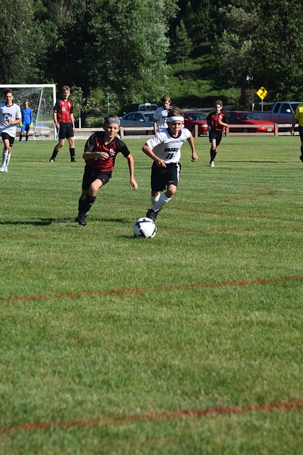 彭鵬的肌肉 彭鵬的肌肉