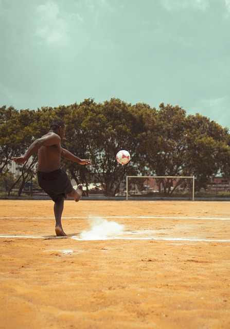 新和球迷需 新和球迷需