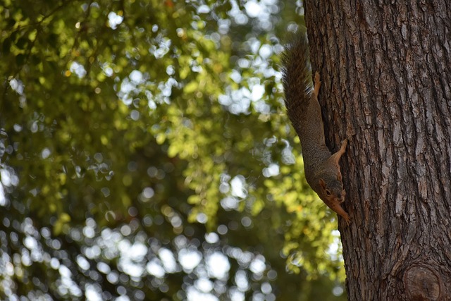 威尔斯在这 威尔斯在这